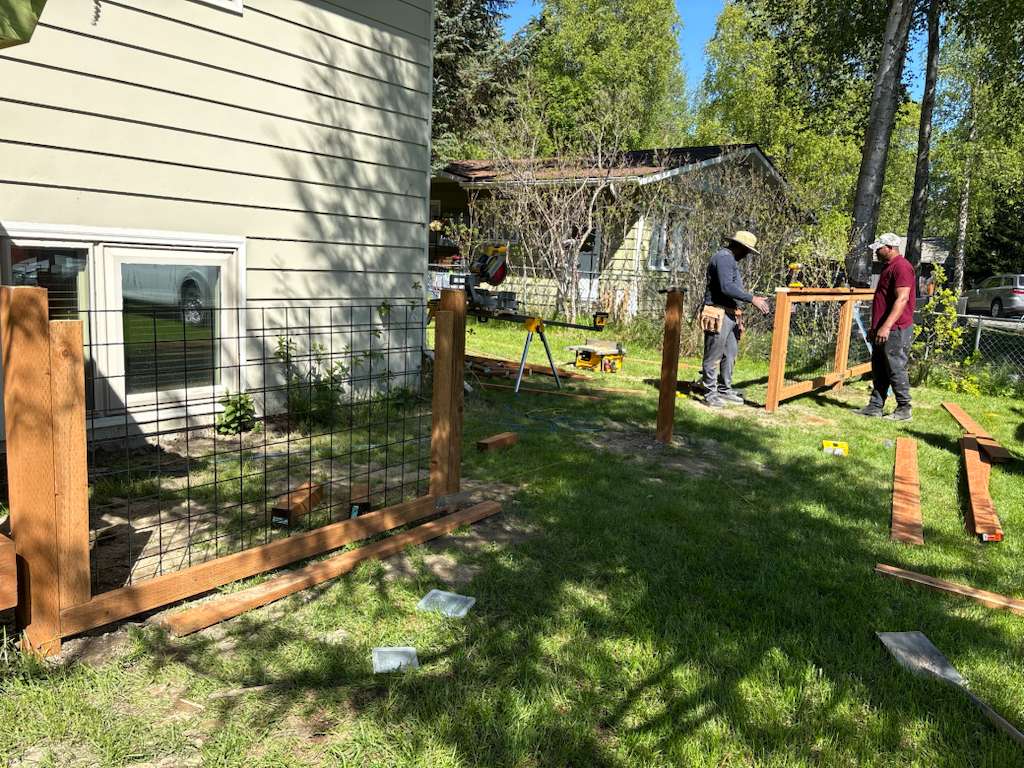 whatsapp image 2026 01 21 at 8.17.17 pm1