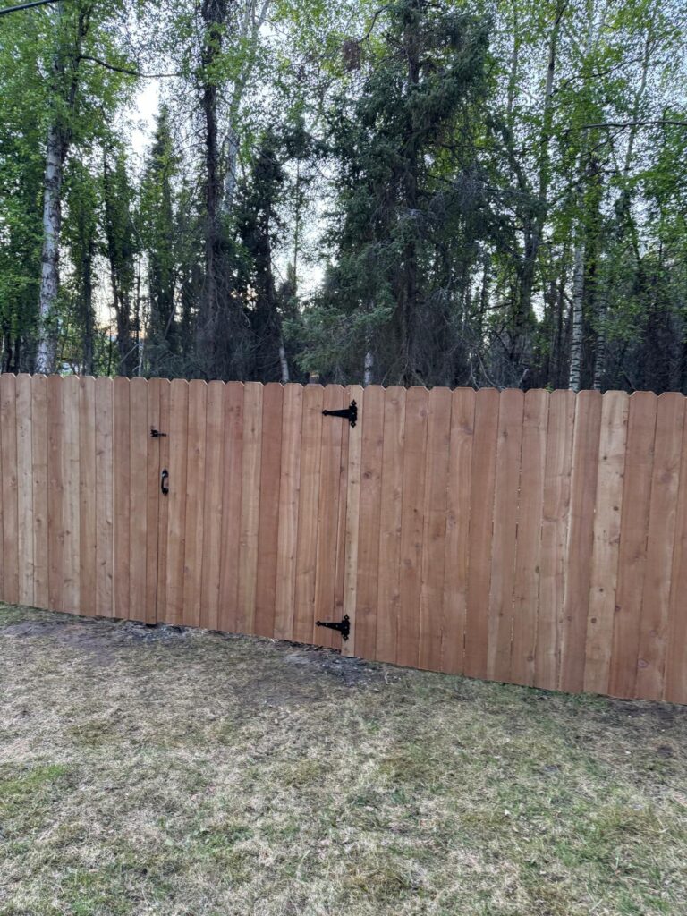 whatsapp image 2026 01 21 at 8.17.23 pm (1)