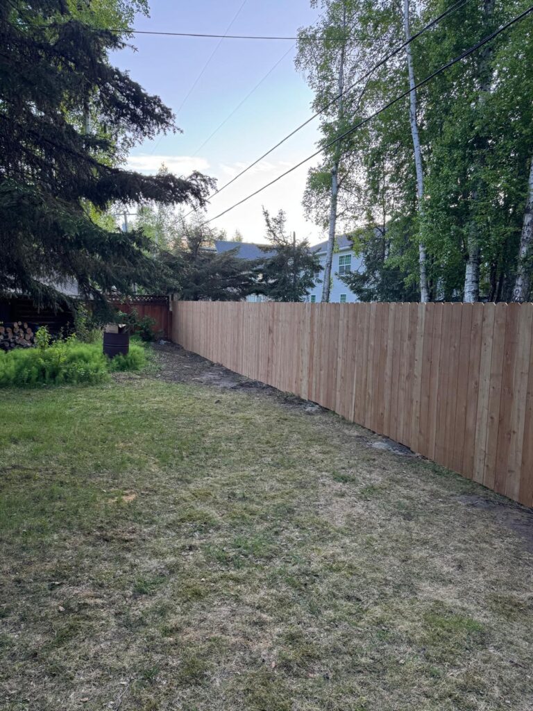 whatsapp image 2026 01 21 at 8.17.23 pm (2)