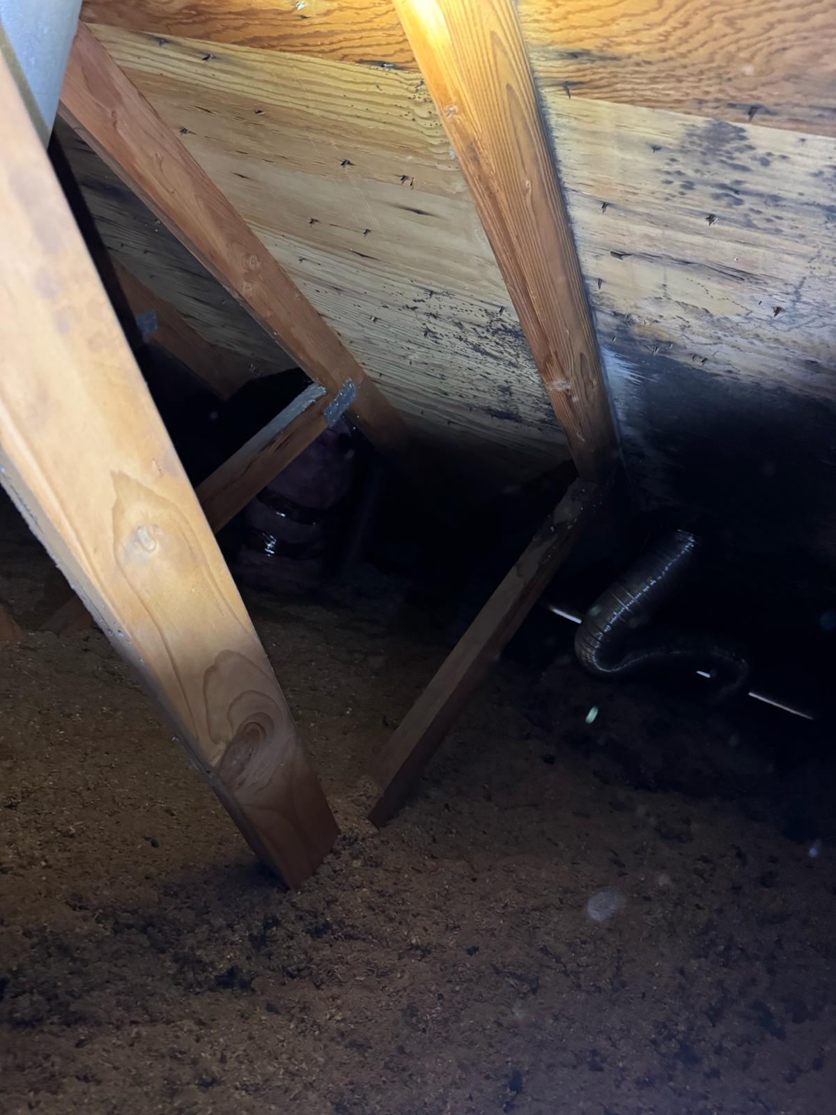 whatsapp image 2026 01 23 at 3.28.51 pm