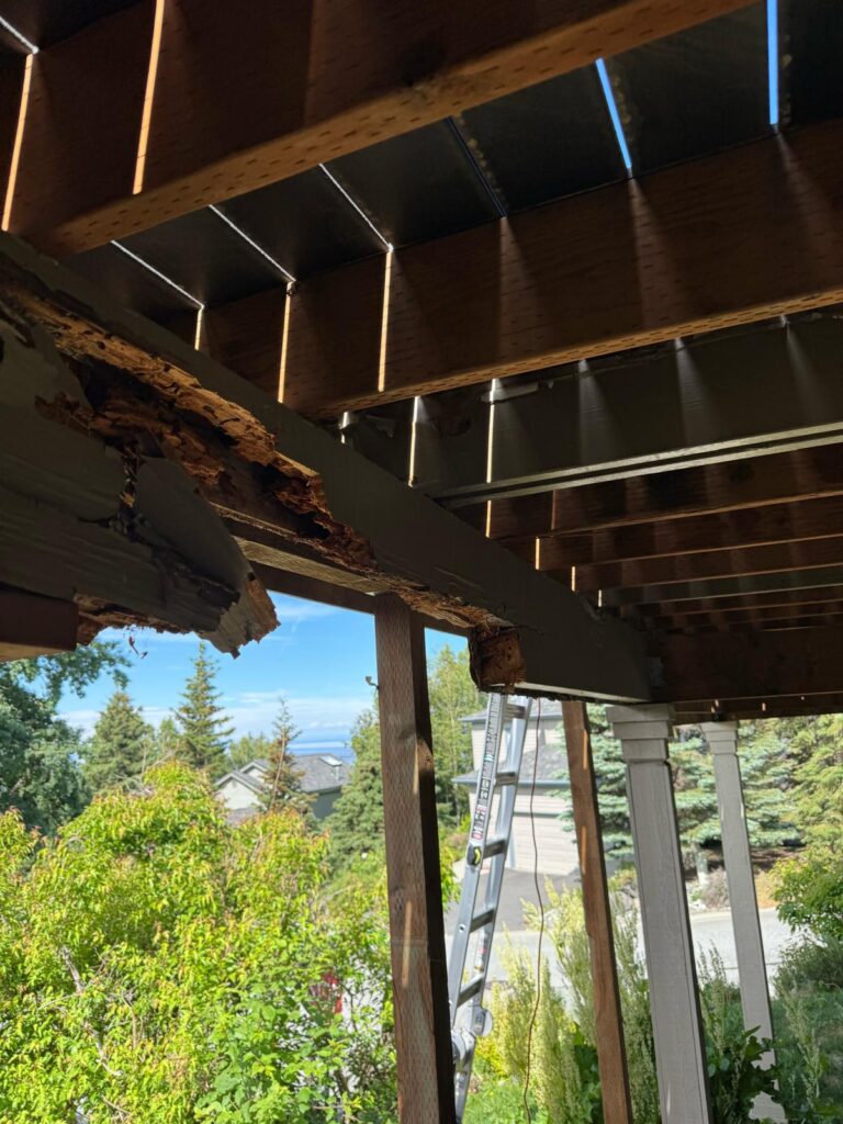 whatsapp image 2026 01 23 at 3.31.09 pm